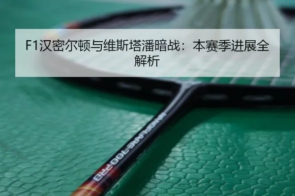 F1汉密尔顿与维斯塔潘暗战：本赛季进展全解析